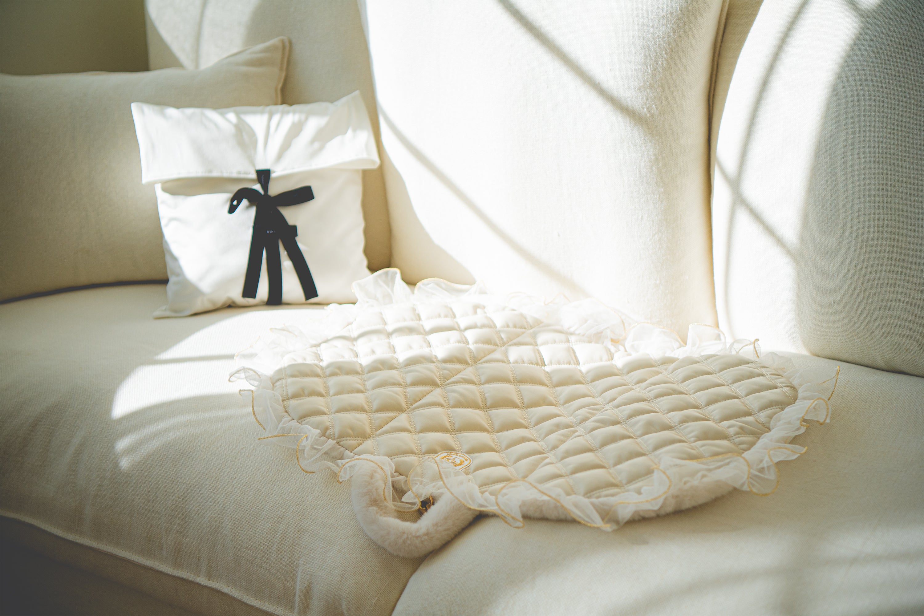 Pet Accessories & Extras – Decorative Additions by HARRYSPET