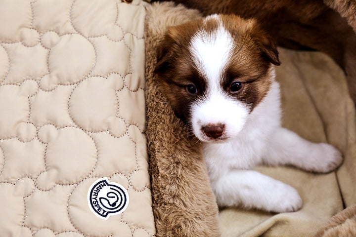 BASSINET Snow Dome - Chestnut