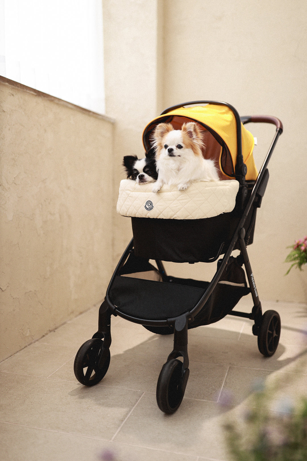 Pet Stroller, ECO - Yellow + Plié Edition