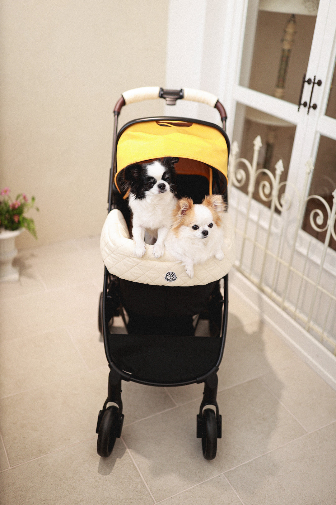 Pet Stroller, ECO - Yellow + Scribble Edition