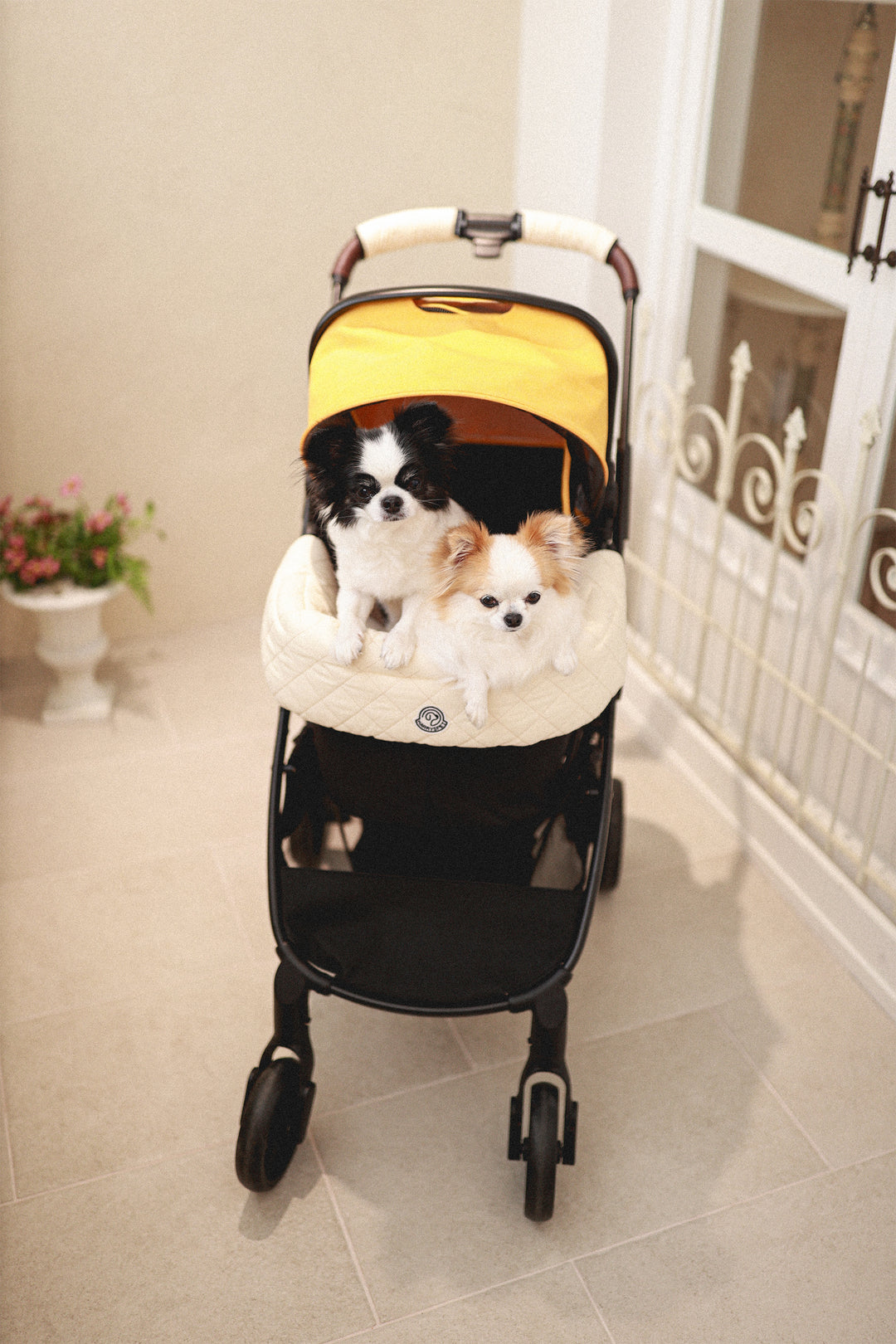 Pet Stroller, ECO - Ivory + Margaret the Lace Edition