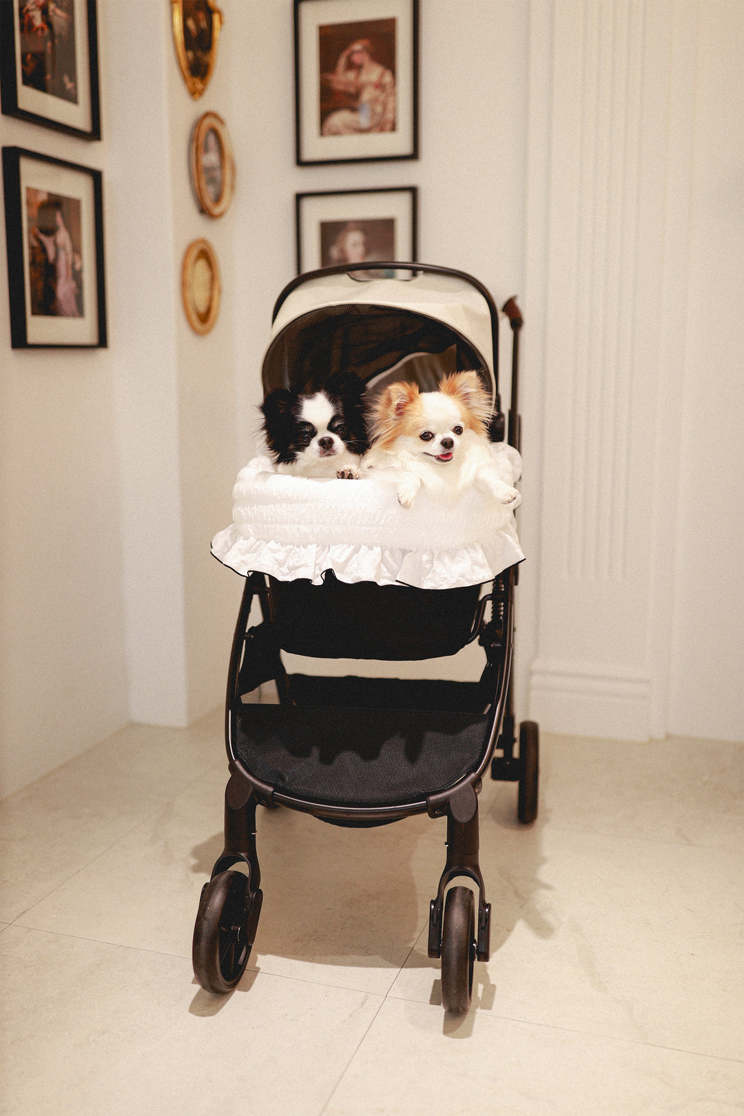 Pet Stroller, ECO - Grey + Margaret the Lace Edition