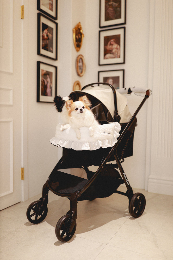 Pet Stroller, ECO - Grey + Basic Edition