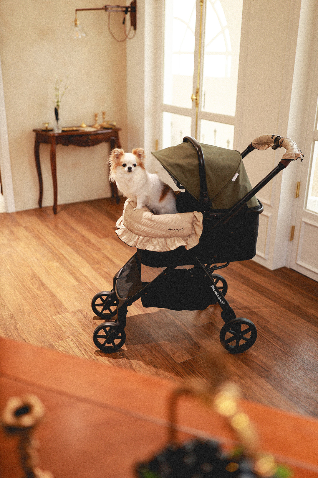 Pet Stroller, ECO - Green + Basic Edition