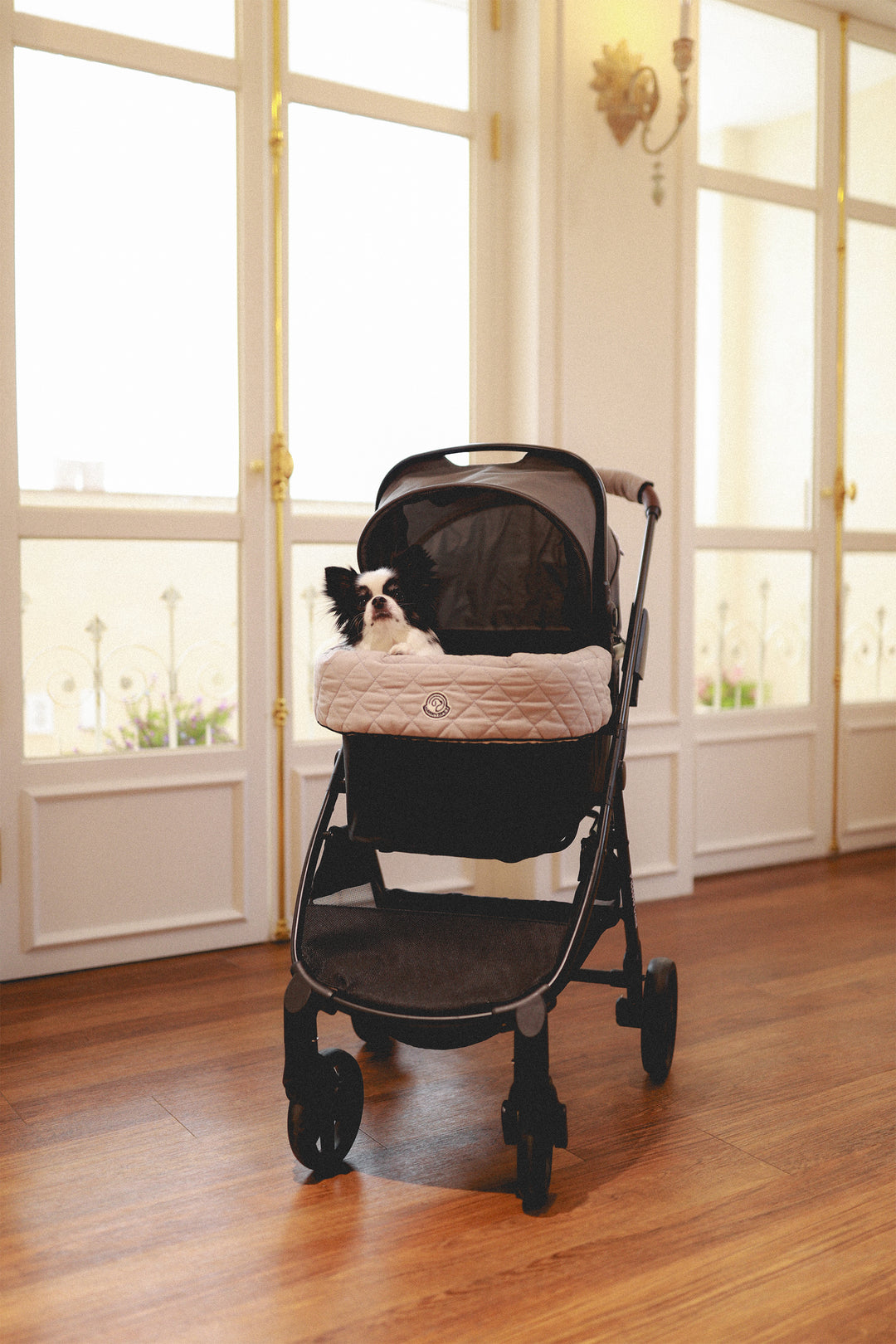 Pet Stroller, ECO - Grey + Plié Edition