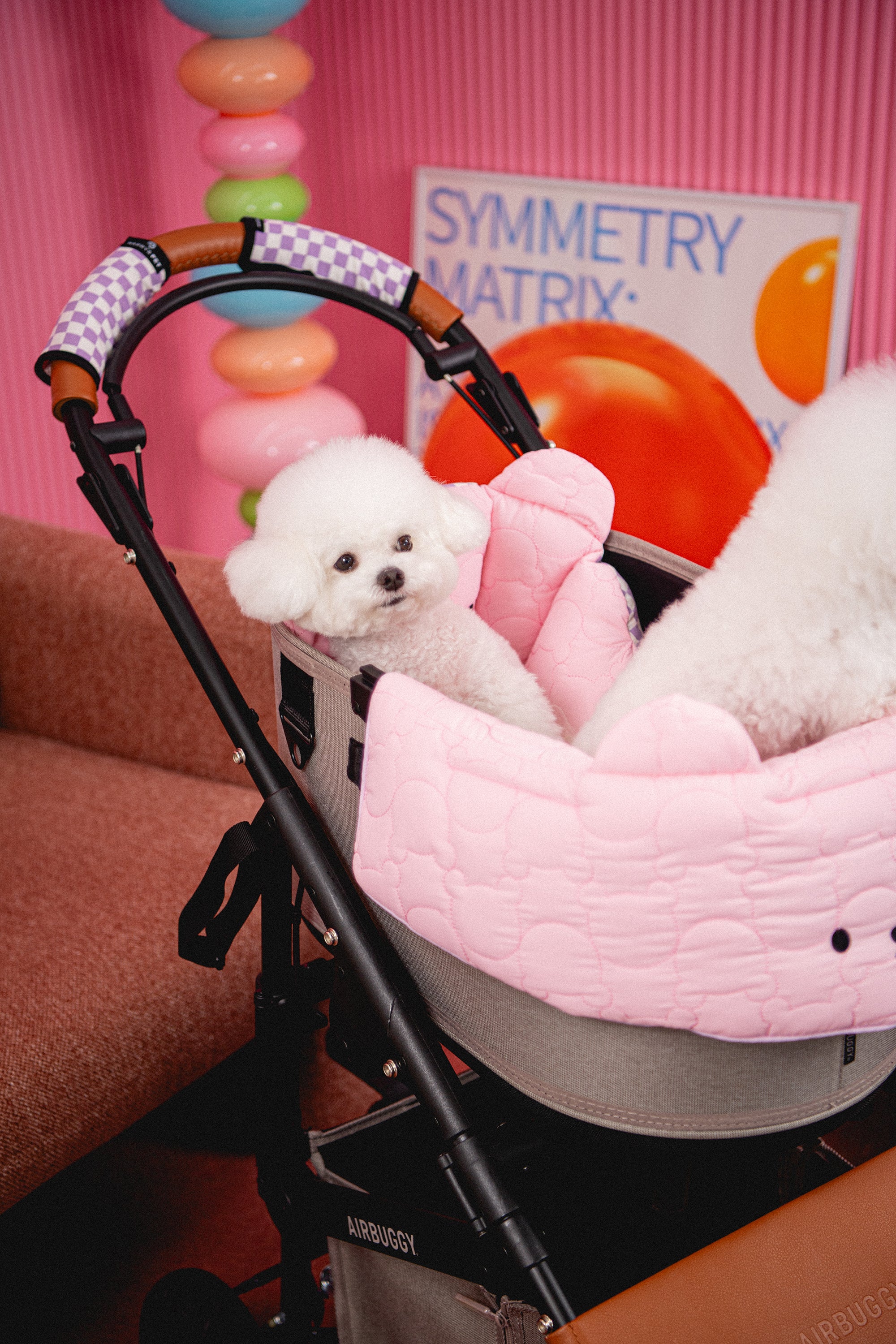 Rococo, Berry more - Pink & Raspberry – HARRYSPET Global Store