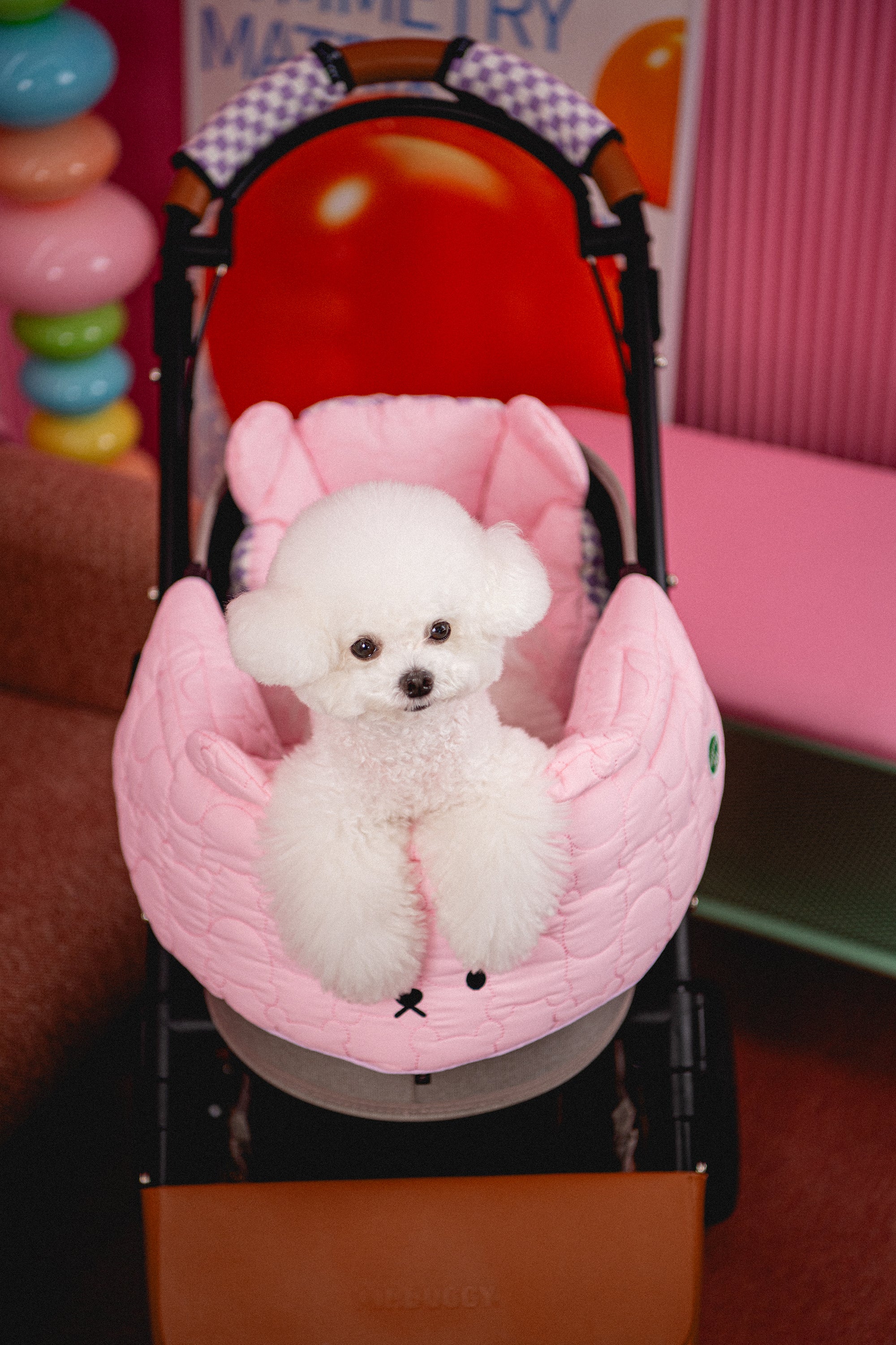 Rococo, Berry more - Pink & Raspberry – HARRYSPET Global Store