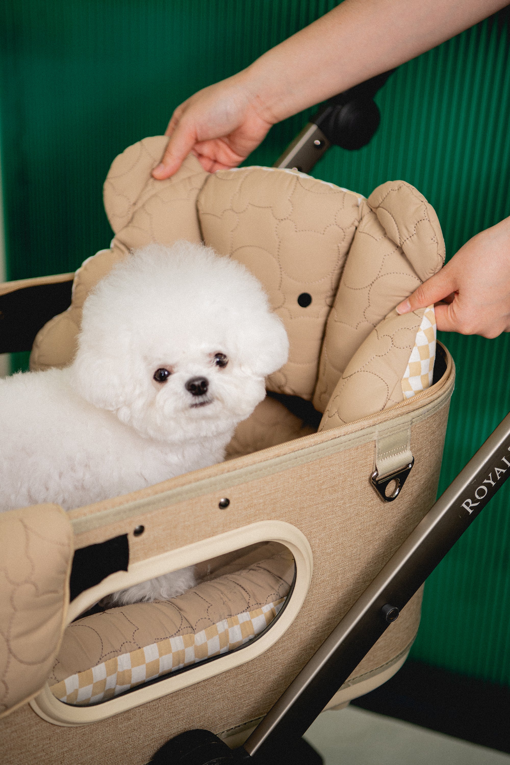 Rococo, Berry more - Beige & Walnut – HARRYSPET Global Store