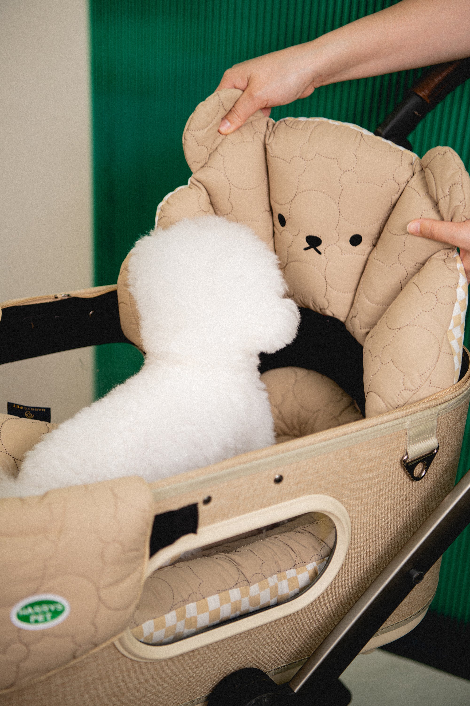 Rococo, Berry more - Beige & Walnut – HARRYSPET Global Store