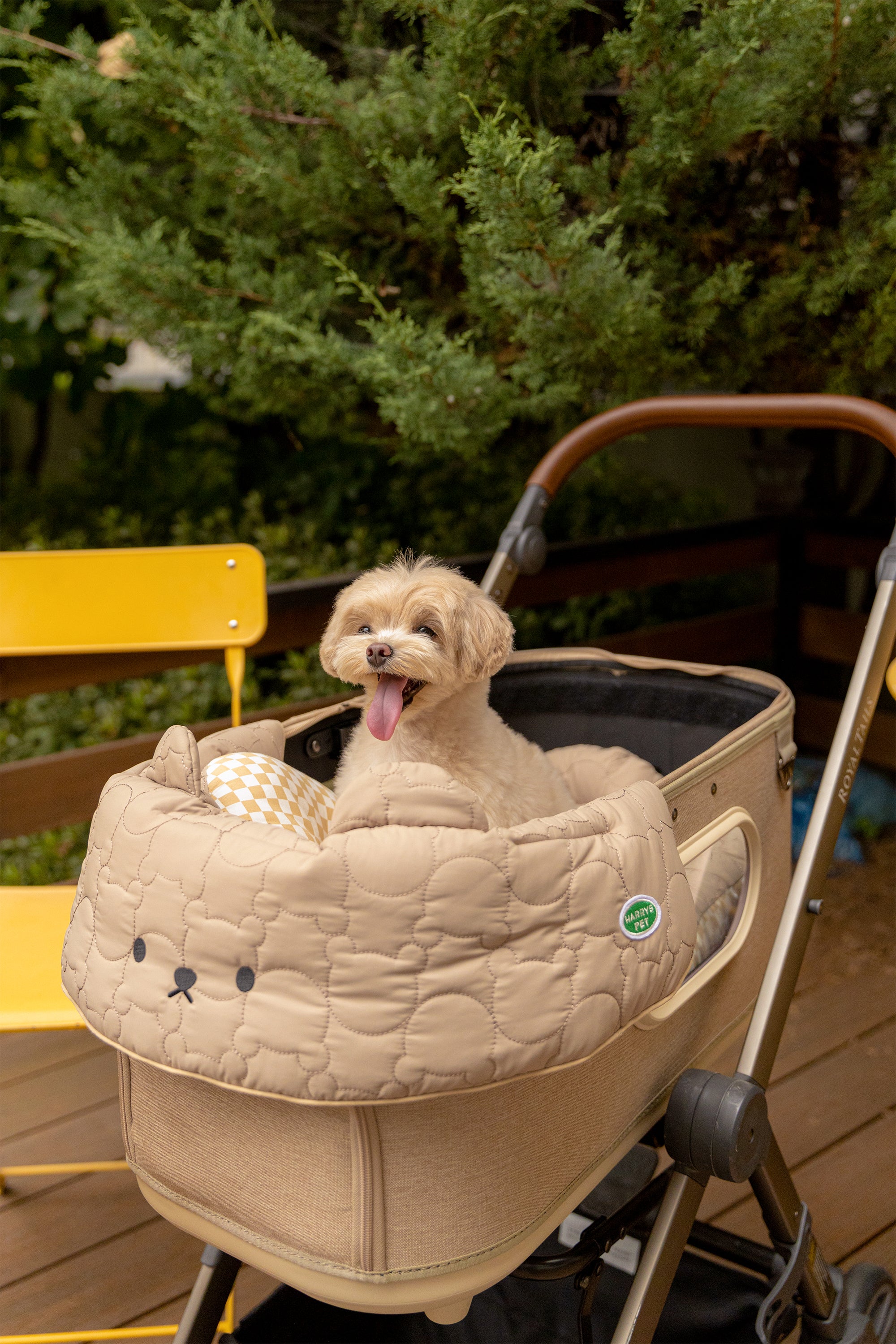 BERRY MORE – HARRYSPET Global Store