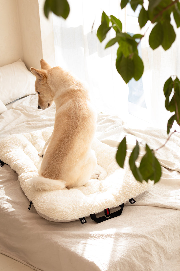 XLarge Pet Beds for Large dogs