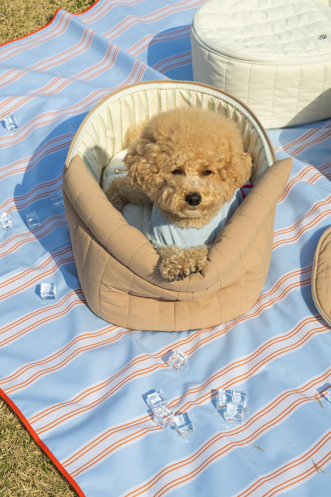 BASSINET Ice Dome - Ivory – HARRYSPET Global Store