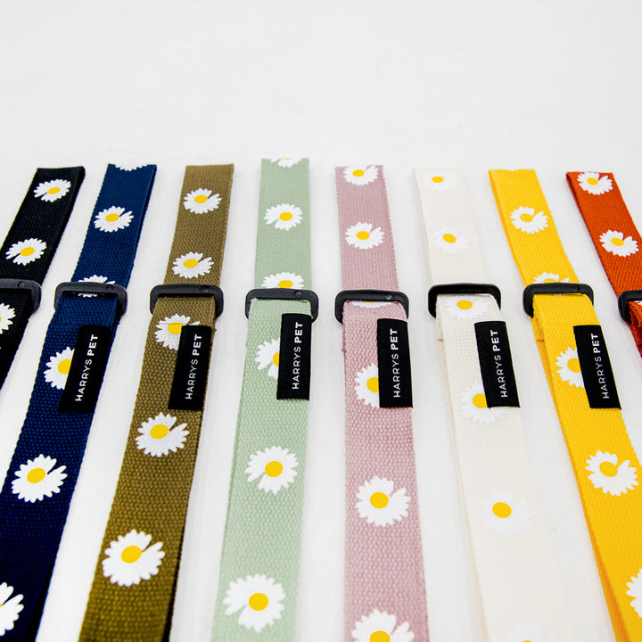 Lasso pet stroller safety strap - Flower edition